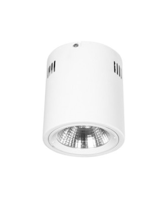 GloboStar® 999-0002 Φωτιστικό Σποτ Οροφής Downlight 15W 1500lm 24° AC 220-240V IP20 Θερμό Λευκό 3000K